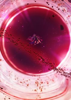 an image of a purple substance in the center of a circle with red and black sprinkles on it