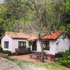 a small white house sitting next to a tree