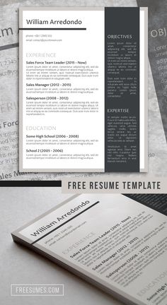 the professional resume template is ready to be used for any job