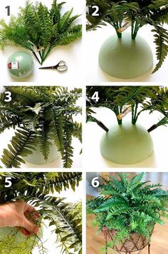 instructions to make a potted fern plant