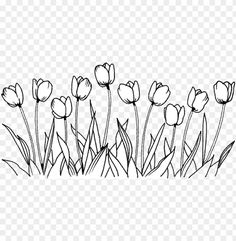 a line drawing of flowers in the grass