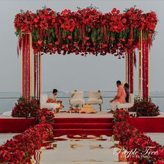 two people are sitting on a stage with red flowers and greenery around the area