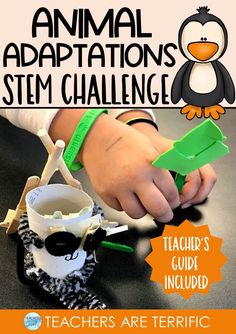 Here’s a perfect STEM challenge to use at the end of your study of Animal Adaptations. Students will build a three-dimensional model of an animal of their choice and showcase its adaptation. This is a great learning experience for everyone. Pirate Vocabulary, Stem For Elementary, Creative Classroom Decor, Stem Classes, Engineering Activities, Nonfiction Text Features, Engineering Design Process, Stem Ideas