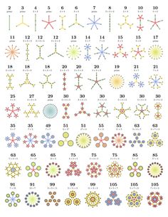 an image of different types of flowers on a white background, with numbers and symbols