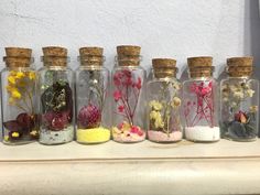 six glass bottles filled with different types of flowers