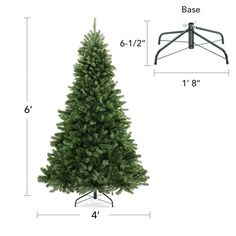 a christmas tree with measurements for the height