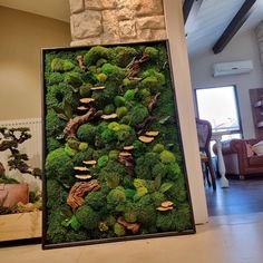 a moss covered wall in a living room