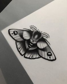 a black and white photo of a moth on a piece of paper with the letter d in it