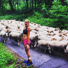 a woman standing in front of a herd of sheep on a road with trees behind her