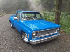 a blue pickup truck parked on the side of a road in front of some trees