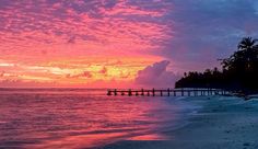 the sun is setting over an ocean with a pier in the foreground and palm trees on the other side