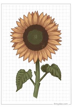 Sunflower illustration with detailed petals and leaves on a grid background. Sunflower Crafts