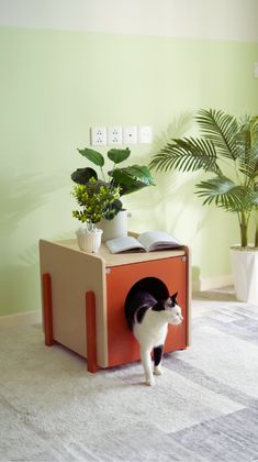 a black and white cat standing in an orange box shaped like a houseplant