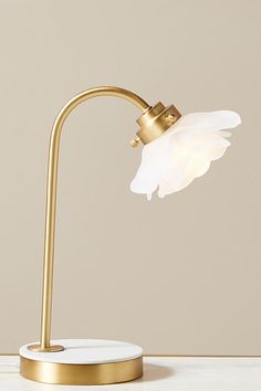 a lamp with a white feather on it