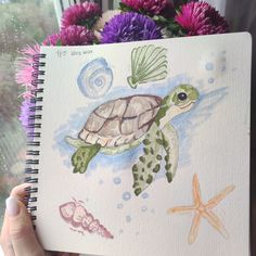 a drawing of a sea turtle and starfish