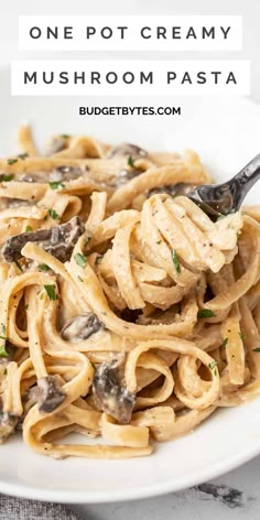 one pot creamy mushroom pasta on a white plate with a fork in it and text overlay that reads, one pot creamy mushroom pasta