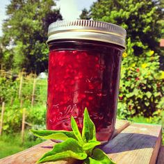 a jar filled with liquid sitting on top of a wooden table next to a plant