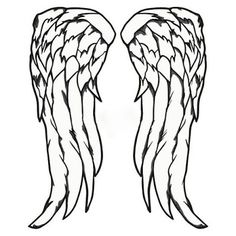 two wings with black and white lines on the wings are facing each other in different directions