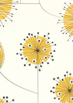 yellow and black dandelions are on a white wallpaper with an orange center