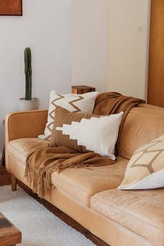 a living room with a couch, coffee table and potted cactus