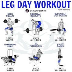 a poster showing how to do the leg day workout