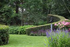 a lush green garden with pink flowers and bushes