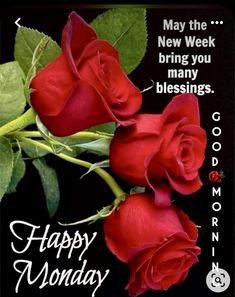 two red roses with the words good morning on it and an image of happy monday