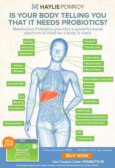 Fast Metabolism, Kefir, The Human Body, Kombucha