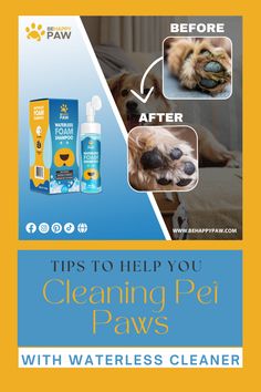 Cleaning pet paws with waterless cleaner Paw Cleaner For Dogs, Simple Cleanser, Dog Essentials, Pet Mom, Silicone Brush