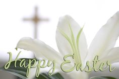 a white flower with the words happy easter written in green on it and a cross in the background