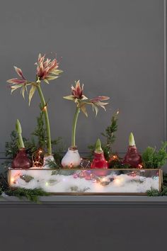 three flowers in vases with lights and snow on the ground next to each other