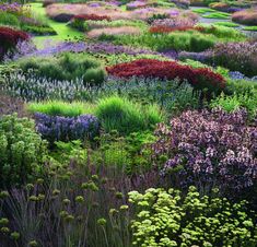 a field with many different types of flowers and plants growing on the side of it