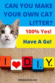 a cat sitting behind blocks that spell out i love you, diy and the words can you make your own cat litter? 100 % yes have a go