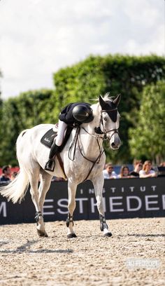 a person riding on the back of a white horse in front of a group of people