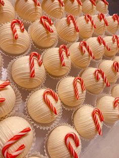 there are many cupcakes with candy canes on them