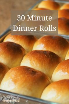 rolls in a pan with the words 30 minute dinner rolls