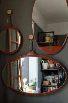 two mirrors are hanging on the wall next to each other, one is holding a plant