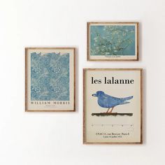 three framed pictures hang on the wall next to each other, one with a blue bird