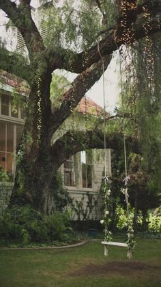 a tree in front of a house with a swing set on the grass near it