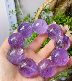 Material:Purple Amethyst Quartz beads size :  26mm quantity: one strand  6mm approx 29 pcs one strands 7mm approx25 pcs one strands 8mm approx 22 pcs one strands 9mm approx 21pcs one strands 10mm approx 19 pcs one strands 11mm approx 18pcs one strands 12mm approx 16 pcs one strands 13mm approx 16 pcs one strands 14mm approx 15 pcs one strands 15mm approx 14pcs one strands 16mm approx 14 pcs one strands 17mm approx 13pcs one strands 18mm approx 13pcs one strands 19mm approx 12pcs one strands 20mm Purple Crystal Bracelet With 8mm Beads As A Gift, Purple Gemstone Beaded Bracelets As Gift, Purple Gemstone Beaded Bracelets For Gift, Spiritual Purple Crystal Bracelet With Round Beads, Purple 8mm Beads Bracelets As Gift, Purple Bracelets With 8mm Beads As Gift, Purple Round Beads Crystal Bracelet For Healing, Purple Amethyst Beaded Bracelets As Gift, Spiritual Lavender Round Beads Crystal Bracelet