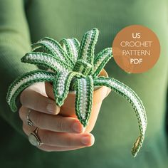 a person holding a crocheted plant in their hand with the text us crochet pattern pdf