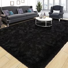 a living room filled with furniture and a black rug