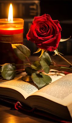 a red rose sitting on top of an open book next to a candle and some books