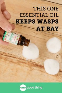 Homemade Wasp Trap, Fake Wasp Nest, Wasp Deterrent, Getting Rid Of Bees, Wasp Killer, Wasp Spray, Wasp Repellent, Get Rid Of Wasps, Wasp Traps