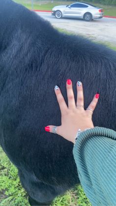 Pink Western Nails Acrylic, Hot Pink Cow Print Nails, Pink Western Nails, Hot Pink Cow Print, Pink Cow Print Nails, Cow Print Nails, Future Nails