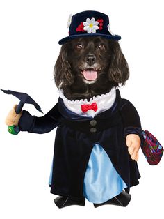 Pet Mary Poppins Costume - costumesupercenter.com Mary Poppins Costume, The Maid, Cat Costume, Family Together, Julie Andrews, Fabric Purses, Dog Costumes, Dog Costume, Mary Poppins