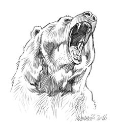 a drawing of a bear with its mouth open