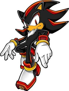 sonic the hedge from sonic the hedge cartoon character, person, shadow the hedge, sonic the