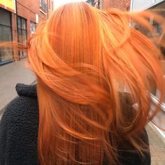 Spring Hair Color Trends, Flame Hair, Honey Balayage, Clip In Ponytail Extensions, Blonde Aesthetic, Hair Color Orange, Fox Hair, Arctic Fox Hair Color, Red Hair Inspo