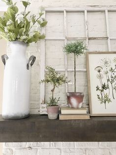 three potted plants sit on top of a shelf next to two framed pictures and a vase